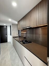 Irwell Hill Residences (D9), Apartment #451435441